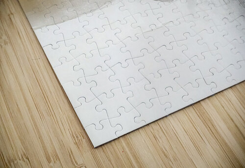 MODERN NEUTRAL 50 PRESTIGE ABSTRACTS puzzle