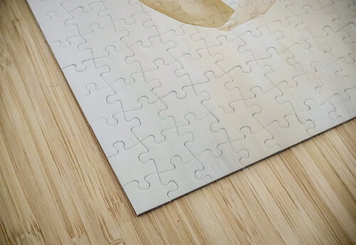 MODERN NEUTRAL 55 PRESTIGE ABSTRACTS puzzle
