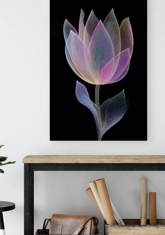 FLORAL 31 Reproduction