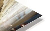 ORGANIC FLOW 6 HD Metal print