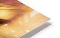 MODERN ABSTRACT 11 HD Metal print
