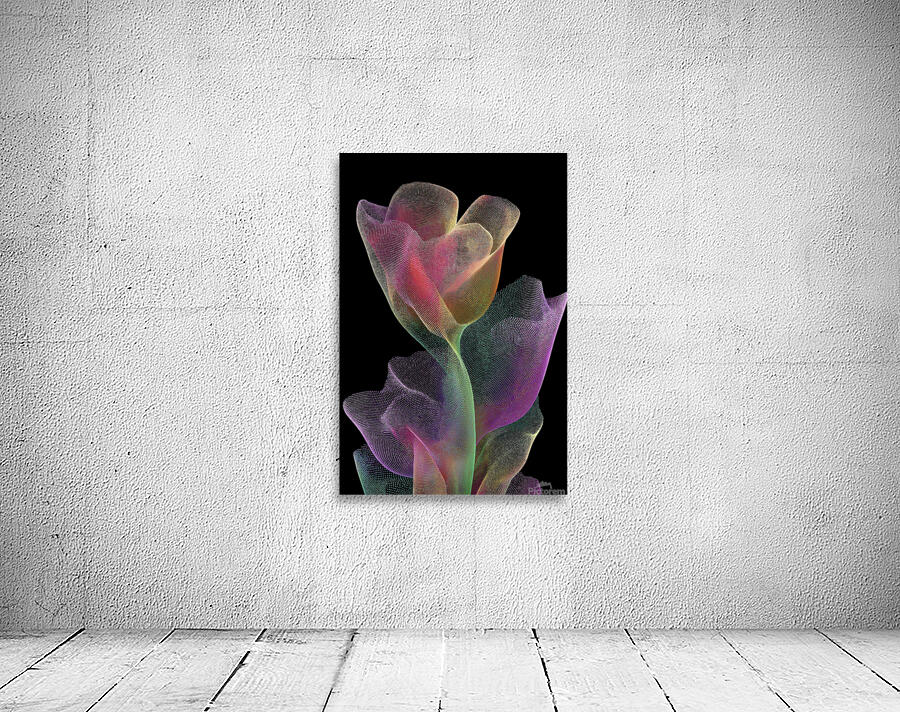 FLORAL 14 Wall Preview
