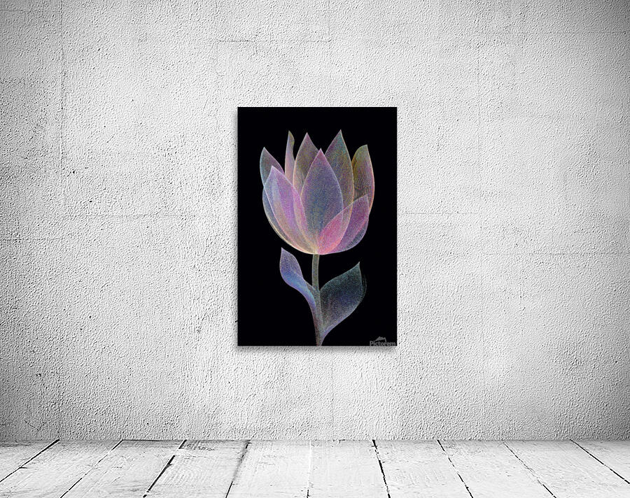 FLORAL 31 Wall Preview
