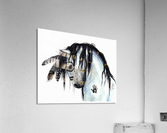 Grey Horse Acrylic Print