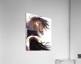 War Pony Acrylic Print