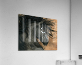 Dark Horse  Acrylic Print