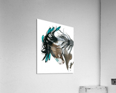 Pinto War Pony Acrylic Print