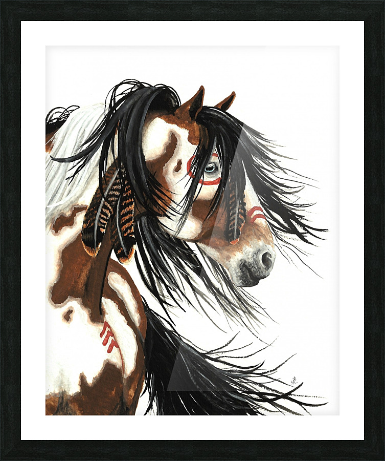 Pinto War Horse Picture Frame print