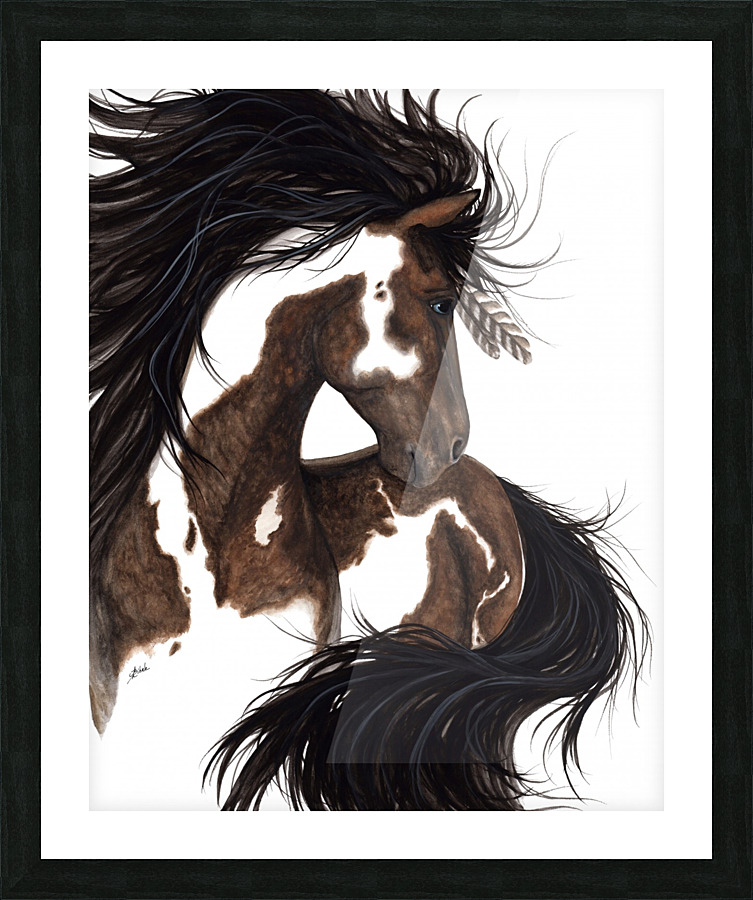 Pinto Horse Picture Frame print