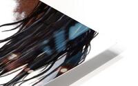 Paint Horse HD Metal print