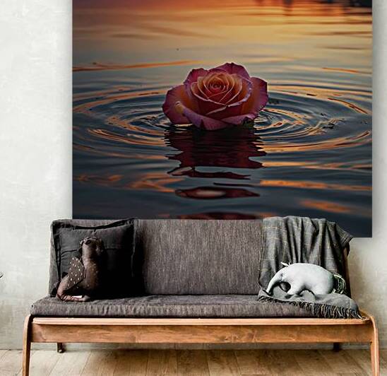 Gorgeous rose pedels floating on large lake on most colorful sunset by haneen shanti