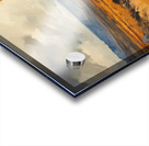 Blue Eyes Acrylic print