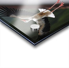 Happy Birds Acrylic print