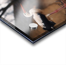 TheGuardian Acrylic print