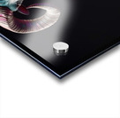 RamBow Acrylic print