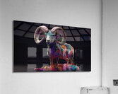 RamBow Acrylic Print