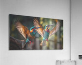 Colorful Birds Acrylic Print
