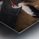 TheGuardian Metal print