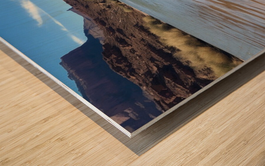 Just Sitn Here Wood print