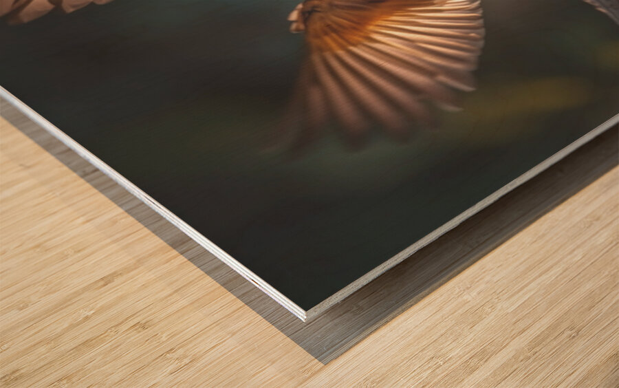 Colorful Birds Wood print