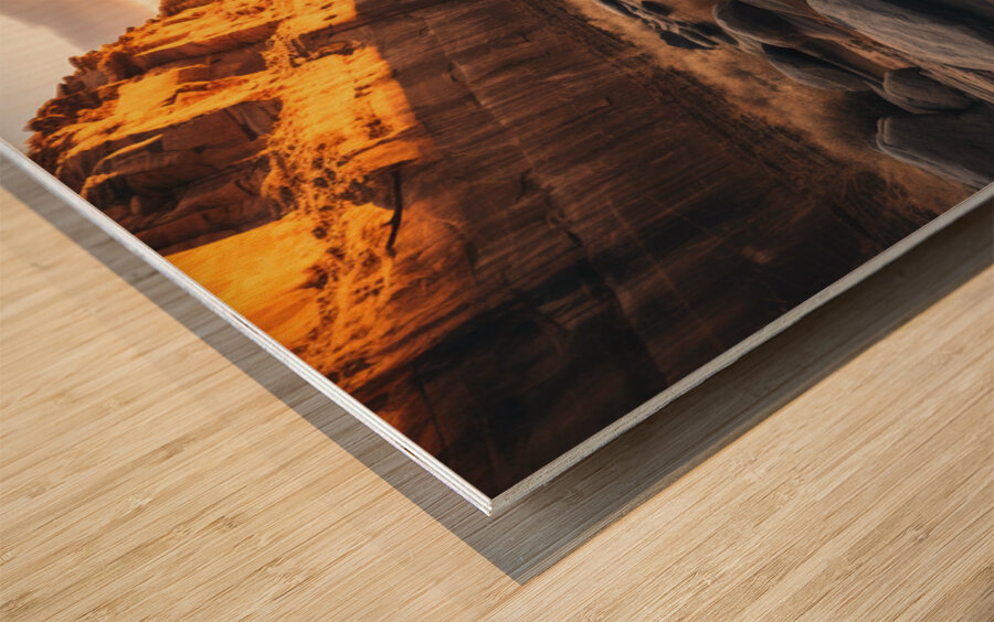 Sitn Here Wood print