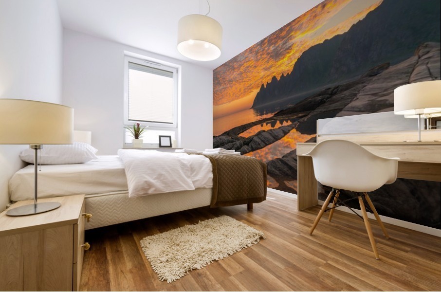 Arctic Fireball Mural print