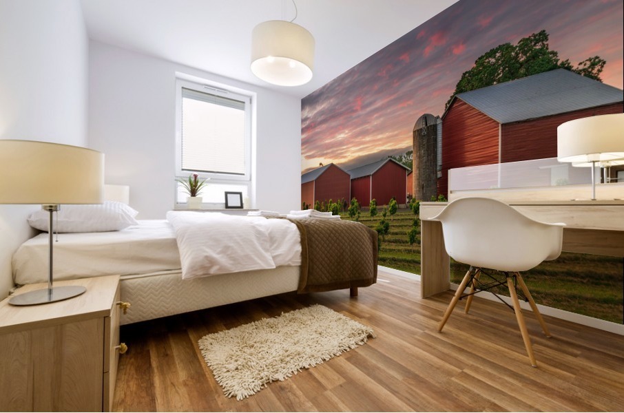 Country Color Mural print