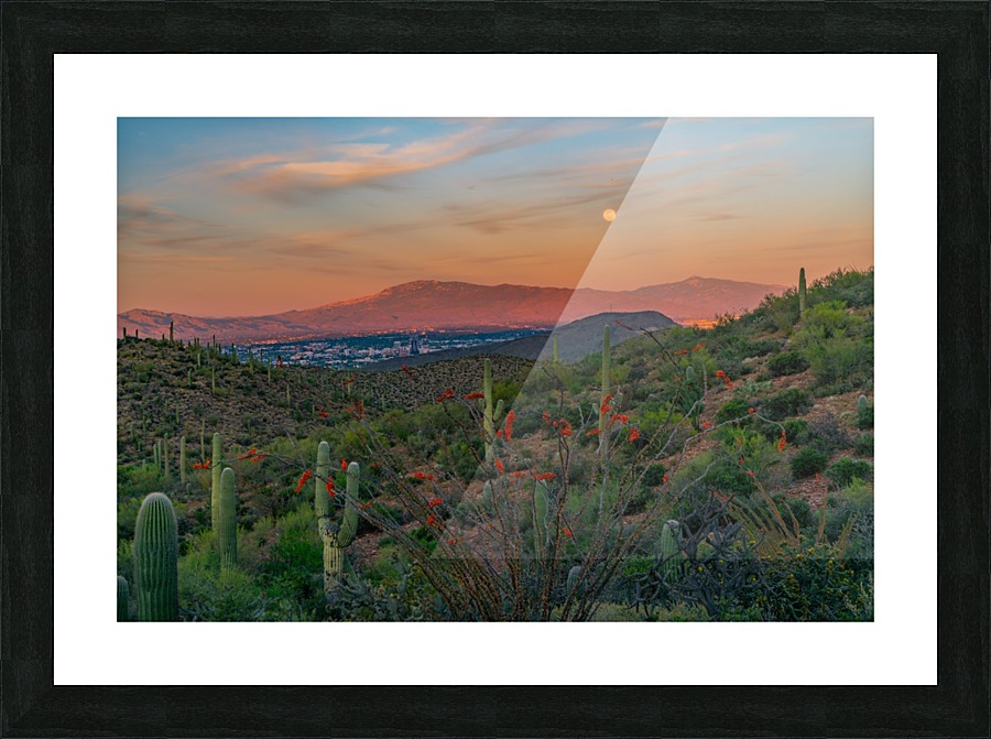 Desert Perfection Picture Frame print