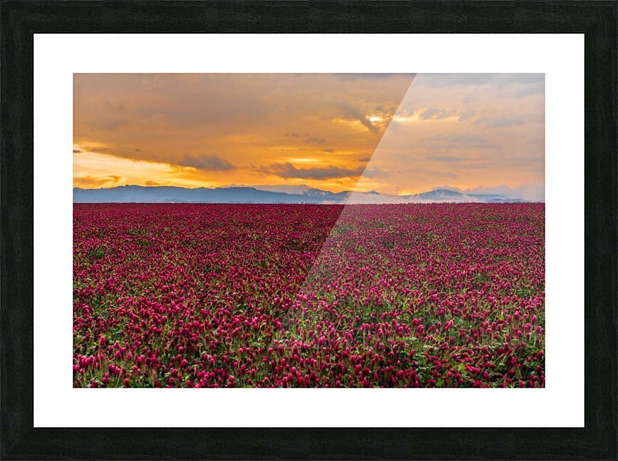 Crimson Tide Picture Frame print