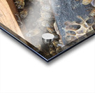 Bee Hive By Phil  Acrylic print