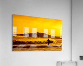 The Last Glance Acrylic Print