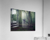 Young Forest Elephant  Acrylic Print