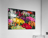 pexels johnmark smith 343957 Acrylic Print