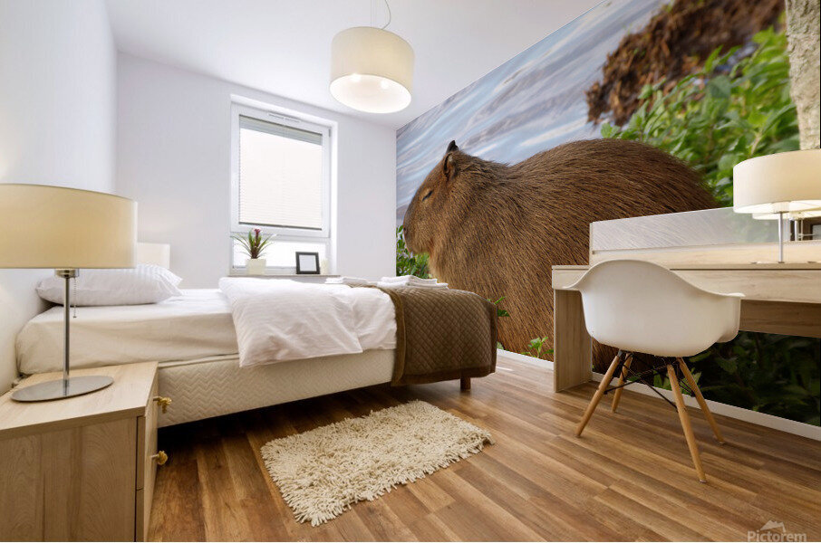 Young Capybara Pup Resting  Mural print