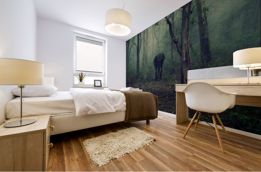 Young Forest Elephant  Mural print
