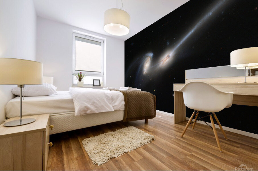 Double Spiral Galaxies  Mural print