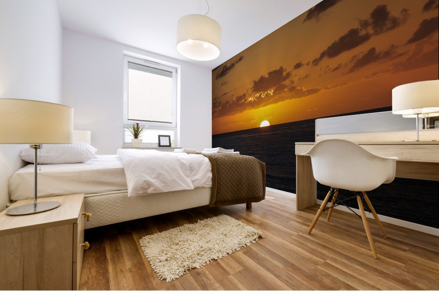 San Diego Sunset Mural print