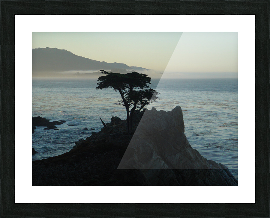 One Tree Island  Picture Frame print