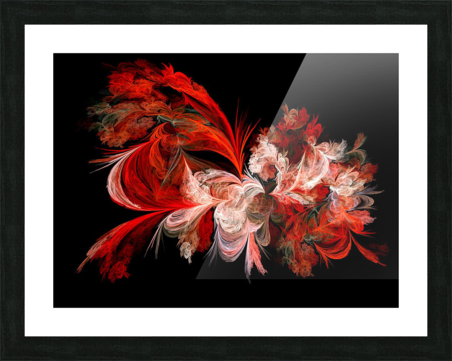 Fractal Rose Explosion  Picture Frame print