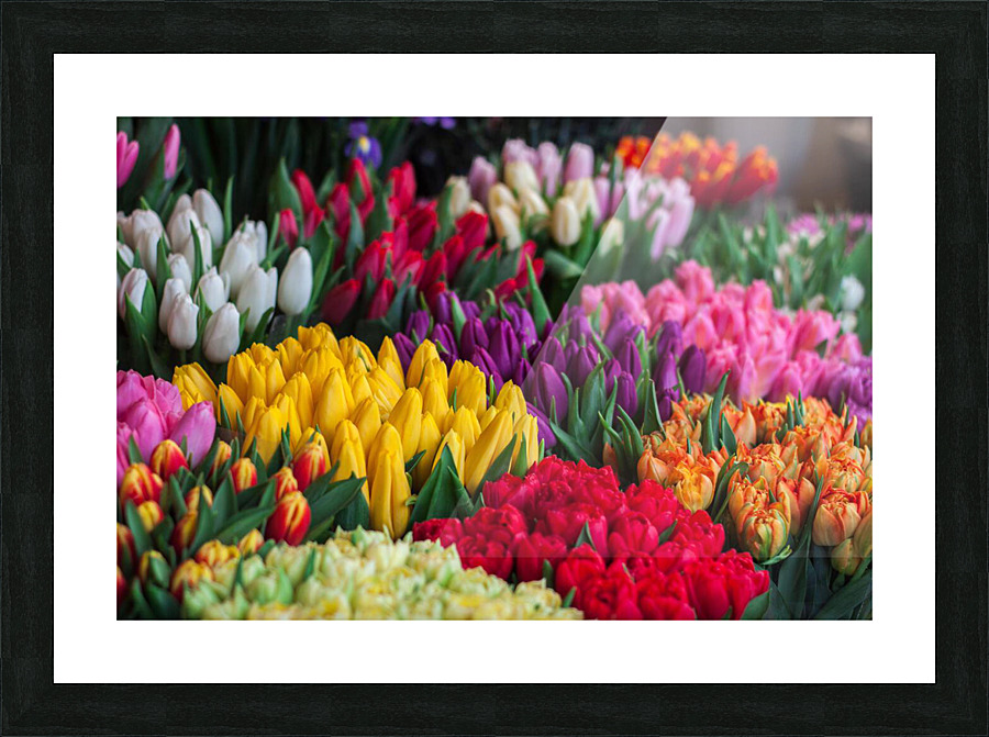 pexels johnmark smith 343957 Picture Frame print