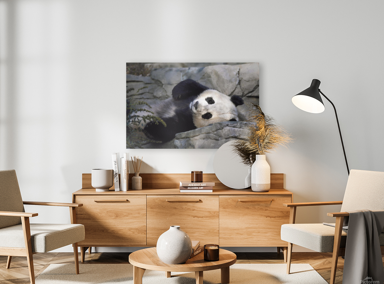 Giant Panda Resting  Reproduction