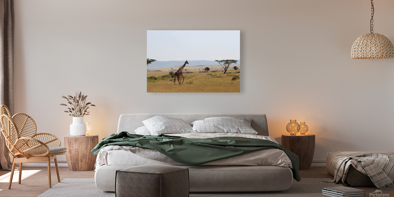 Giraffe On A Stroll  Reproduction