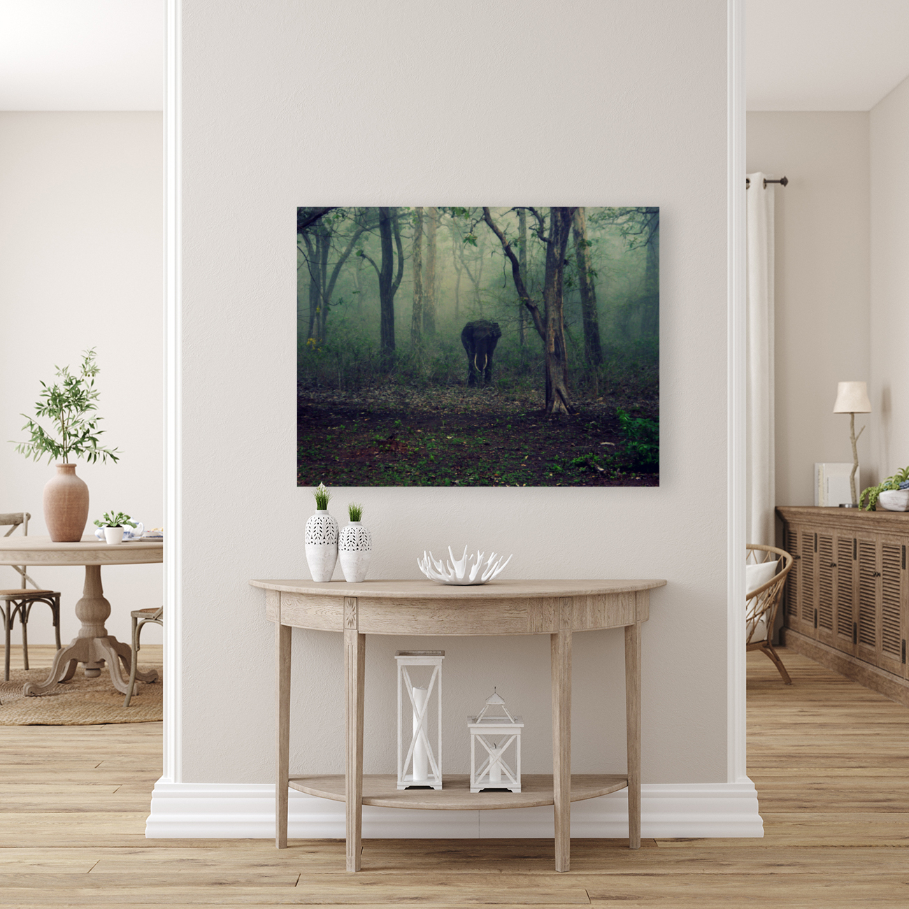 Young Forest Elephant  Reproduction