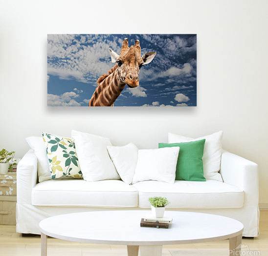 Silly Giraffe  Reproduction