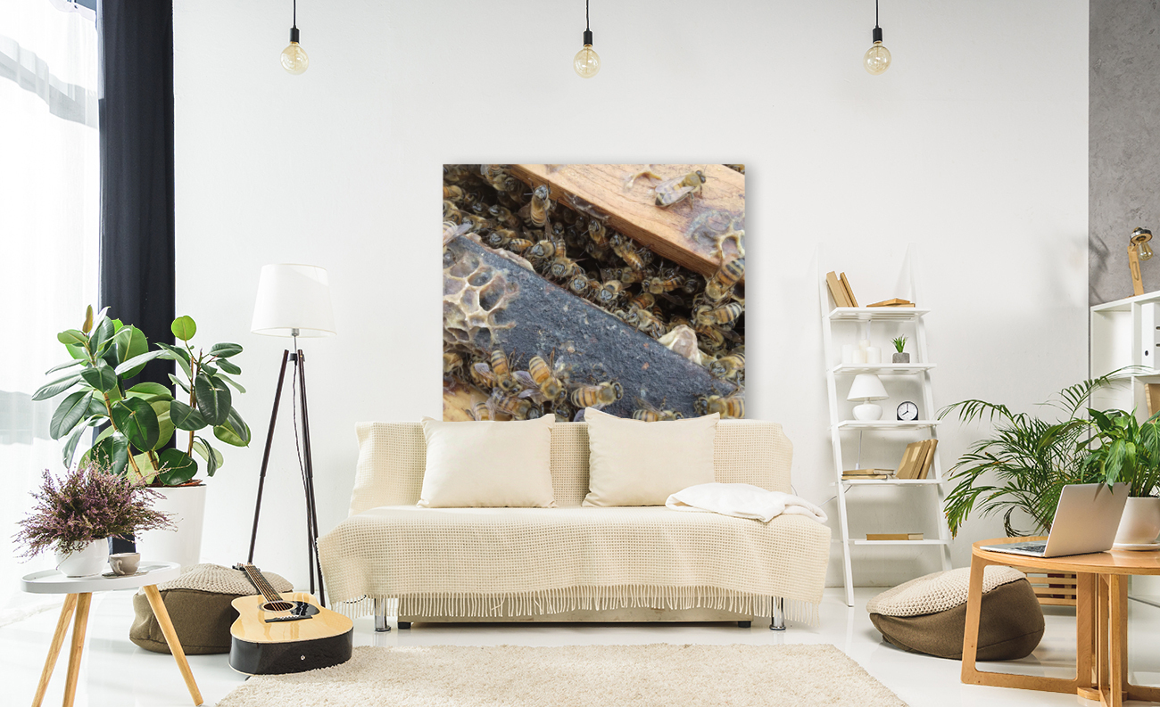 Bee Hive By Phil  Reproduction