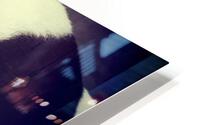 Giant Panda Relaxing  HD Metal print