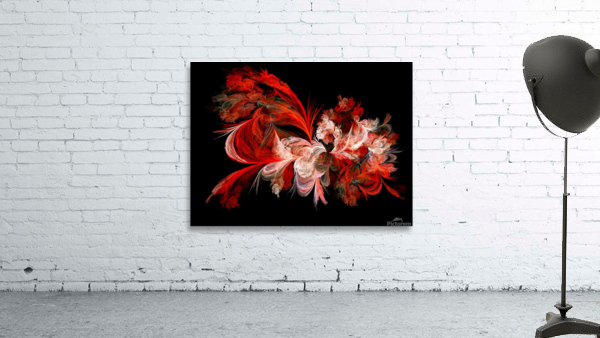 Fractal Rose Explosion  Wall Preview