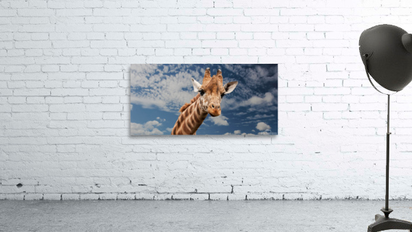 Silly Giraffe  Wall Preview