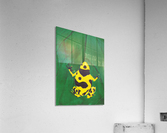 Dart Frog Acrylic Print