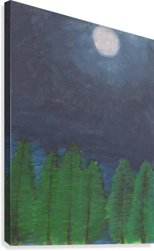 Midnight Light Canvas Print